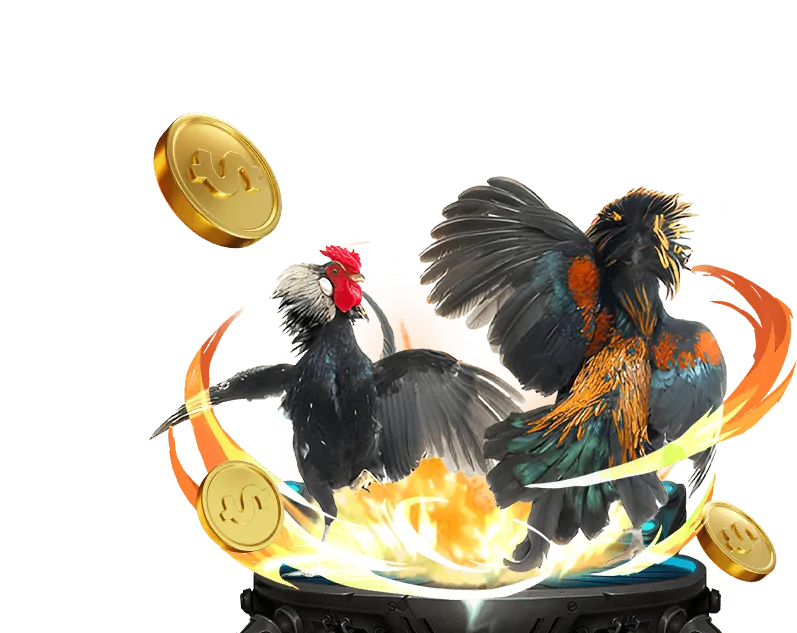 Giới thiệu nền tảng Win55 và lợi ích